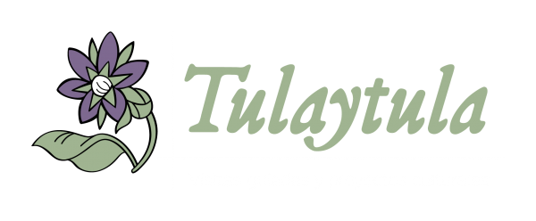 Tulaytula. Visitas Guiadas y Proyectos Culturales en Toledo.